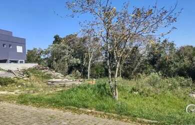 Imagem: O terreno à venda possui e está localizado em São Luiz