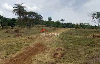 Imagem: A fazenda possui 75m² de Área, Imóvel novo e está localizado