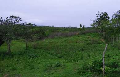 Imagem 3: Fazenda na Guaiúba 23 hectares,grandes açudes, fruteiras, 56 km de Fortaleza