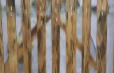 Imagem: A casa possui 1 Dormitório, 1 Banheiro, 1 Vaga na garagem e