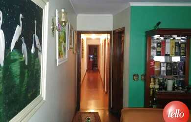 Imagem 6: São Paulo - Casa Padrão - Mooca