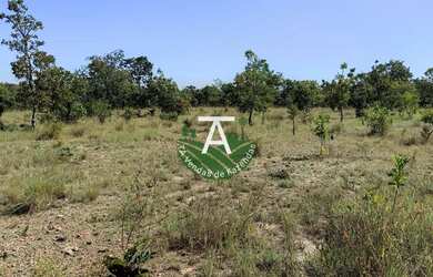 Imagem 5: Fazenda no Faina GO 38 alq