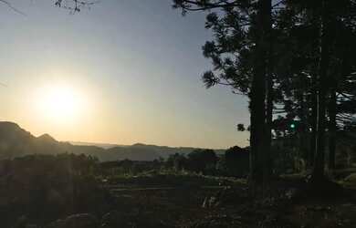 Imagem 13: Sítio / Chácara para Venda em Nova Petrópolis, Linha Brasil Fundos