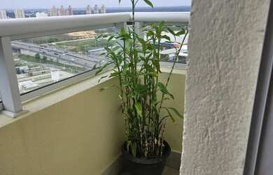 Imagem: O apartamento na cobertura possui 3 Dormitórios, 4 Banheiros