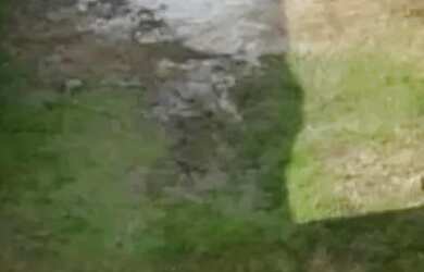 Imagem: O terreno possui 364m² de Área e está localizado em Glória