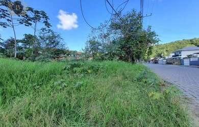 Imagem 9: Terreno à venda, 430 m² por R$ 158.000,00 - São Sebastião - Palhoça/SC