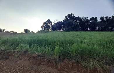 Imagem 11: Lote/Terreno para venda possui 500 metros quadrados em Vila Santista -...