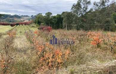 Imagem 4: Terreno à venda, 559 m² por R$ 699.000,00 - Monte Bérico - Caxias do Sul/RS