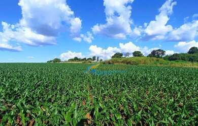 Imagem: A fazenda à venda possui 23405m² de Área e está localizado