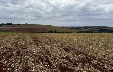 Imagem 6: Sítio de 8 alqueires na colônia nova