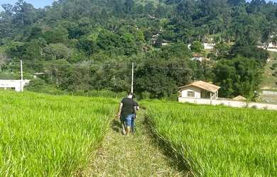 Imagem 12: Terreno em local tranquilo e seguro