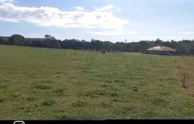 Imagem 3: A M Imoveis vende Exelente Fazenda com 162hectare Região da Serra Bonita,...