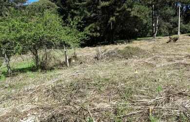 Imagem 10: Terreno - Bairro Parque das Hortênsias