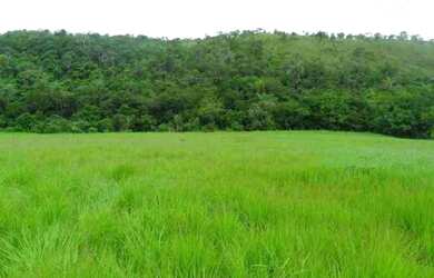 Imagem: A chácara está localizado em Jaboticatubas, MG à venda por