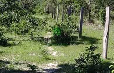 Imagem: A fazenda possui 135m² de Área e está localizado em Paranã