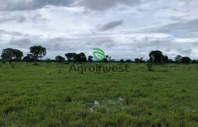 Imagem 9: Fazenda no Município de São Miguel do Araguaia - GO