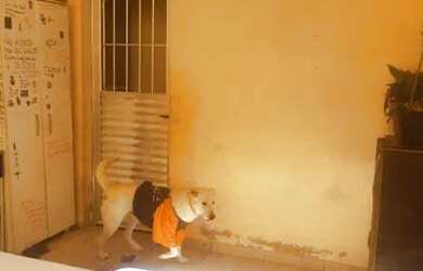 Imagem: A casa possui 3 Dormitórios, 2 Banheiros, 2 Vagas na garagem