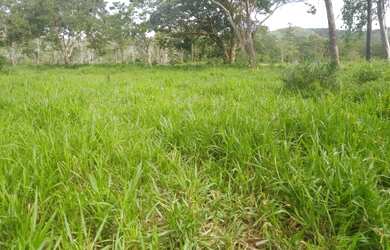 Imagem: A chácara possui 960.000m² de Área, Imóvel novo e está