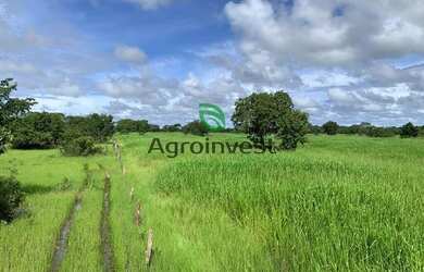 Imagem 3: Fazenda no Município de São Miguel do Araguaia - GO