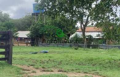 Imagem 13: Fazenda no Município de São Miguel do Araguaia - GO