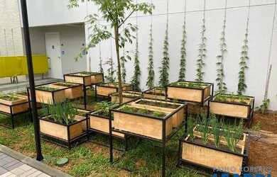 Imagem 13: APARTAMENTO - SANTO AMARO - SP