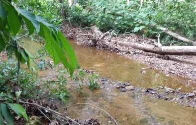 Imagem 10: .Uma fazenda 170 alqueires 52 km de Porto
