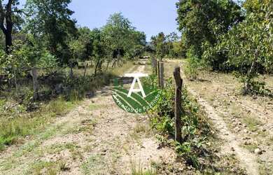 Imagem 13: Fazenda no Faina GO 38 alq