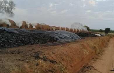 Imagem 3: Fazenda de 6.300 hectares em Bonfinopolis-MG