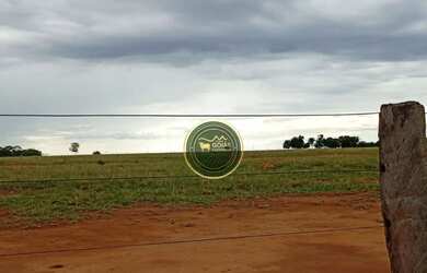 Imagem 8: 197 Alqueires Novo Brasil