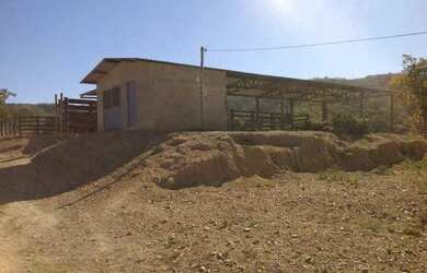 Imagem 10: OPORTUNIDADE ÚNICA Fazendinha de 38 hectares as margens da BR a 12 km...