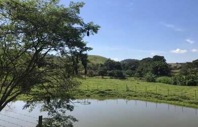 Imagem: A fazenda possui 310.000m² de Área e está localizado em