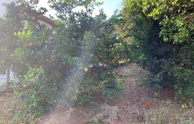 Imagem: A chácara possui 165m² de Área, Varanda e está localizado