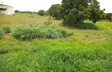 Imagem: A chácara possui 4.500m² de Área e está localizado em Palmas