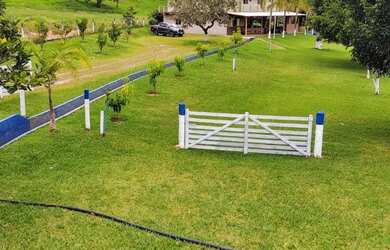 Imagem 13: Fazenda de 57 alqueires. 1m² de Área