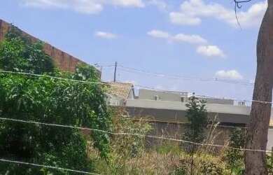 Imagem 3: LOTE - RESID. TERRA NOVA. 300.000m² de Área