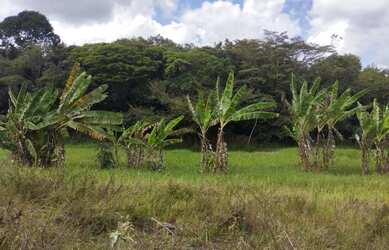 Imagem 3: Sitio à venda. 