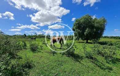 Imagem 8: Fazenda Perobas, Araruama 251 Hectares com Vocação Pecuária e Potencial...