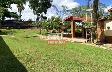 Imagem 4: Fazenda 36 alquieres 174,24 hectares Edealina - Go