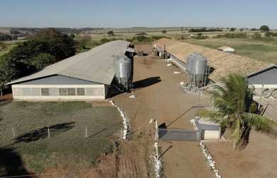 Imagem: Granja já pronta