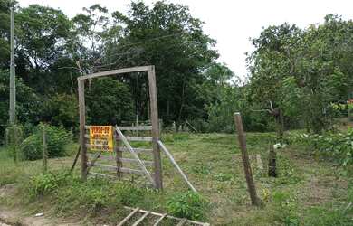 Imagem 2: Terreno em Iranduba 20x25