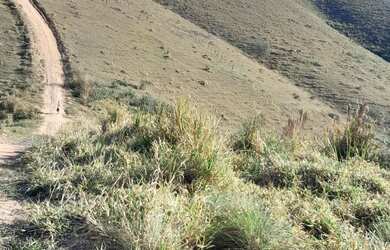 Imagem 7: Vende se um terreno no pouso alegre