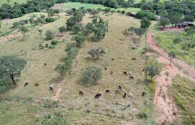 Imagem 10: A M IMOVEIS VENDE EXELENTE FAZENDA EM CABECEIRA GRANDE ESCRITURADA