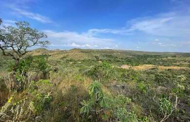 Imagem 9: Lote/Terreno à Venda, 20500 m² por R$ 160.000