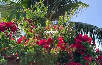 Imagem 16: Aconchegante casa no condomínio Santa Mônica Towhouse