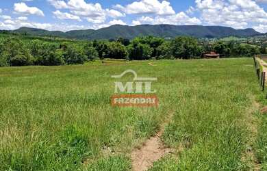 Imagem 2: Chácara 3,61 alqueires 17,5 hectares Taquaral - Go