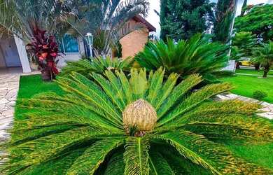 Imagem 10: Casa de condomínio para venda com 208 metros quadrados com 3 quartos em Jacaré - Itupeva