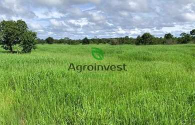 Imagem: A fazenda possui 60m² de Área e está localizado em São