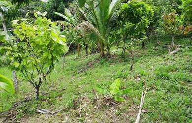 Imagem 10: Fazenda de 26,4167 hectares