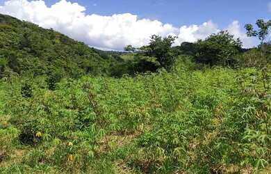 Imagem 2: Fazenda de 26,4167 hectares