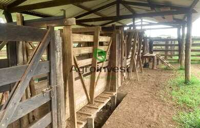 Imagem 10: Fazenda no Município de São Miguel do Araguaia - GO